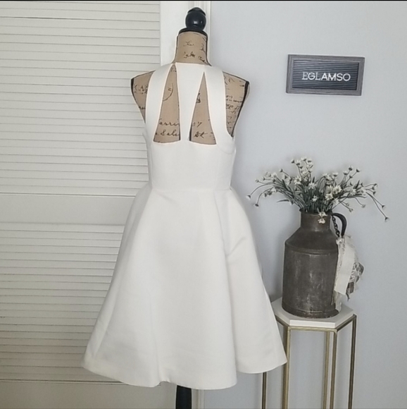 "Elegant Flair: Halston Heritage Satin Fit-and-Flare Dress" - Picture 9 of 10